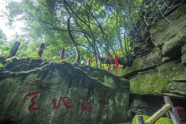 @寧強人，漢江源景區(qū)年卡福利來啦！！插圖15