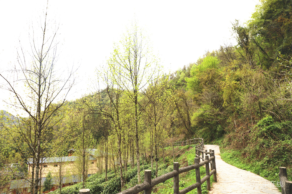 【公告】漢江源景區(qū)恢復(fù)開園，清明節(jié)免門票！插圖4