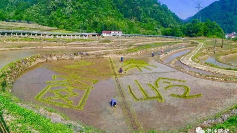 佛坪這些地方，讓你的春游不再單調(diào)！插圖17