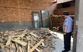 漢中小鹿受傷找警察，這也太有靈性了！縮略圖