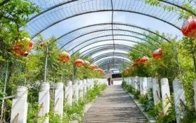 小時光，慢旅行，初夏游該有的樣子漢中這里都有！縮略圖