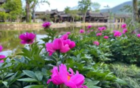 絕美！漢中這處國(guó)風(fēng)打卡地，即將刷爆朋友圈！縮略圖