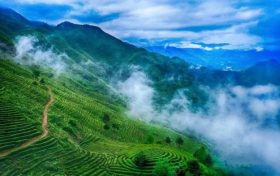 西北最大！就在漢中→縮略圖