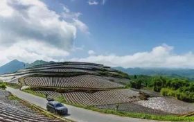 在南鄭，這條“紅色交通線”串起川陜鄉(xiāng)親美好新生活縮略圖