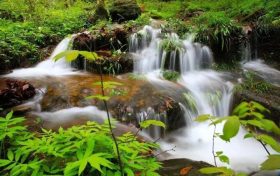 高溫何懼？清涼避暑、滑草游樂、優(yōu)惠福利……漢中這里全部承包！縮略圖