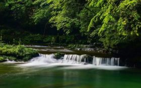 漢中避暑界的“頂流”，晚上還要蓋棉被！縮略圖
