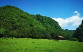 為漢中捧回“國”字號！連獲殊榮縮略圖