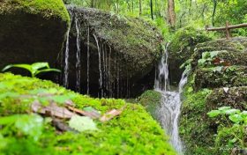 想要逃離“桑拿天”，就到漢江源！看表演、避暑……享清涼！縮略圖