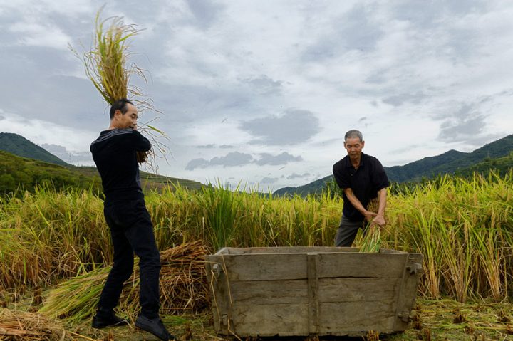 1afd40ab0c6c0c2b77b9419b3a6ae82f 1afd40ab0c6c0c2b77b9419b3a6ae82f