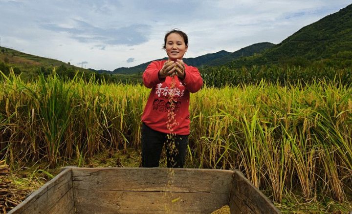 2111c06990663ae6c0c0604a26103cad 2111c06990663ae6c0c0604a26103cad