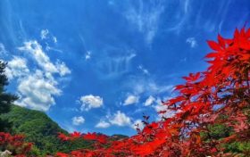 秋風(fēng)起兮白云飛，靜美佛坪秋意濃縮略圖