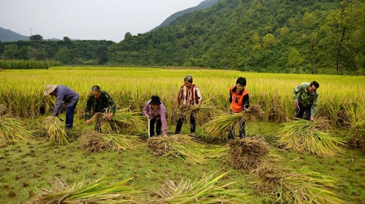 67ee4682193e416e1336e298ac3171ff 67ee4682193e416e1336e298ac3171ff