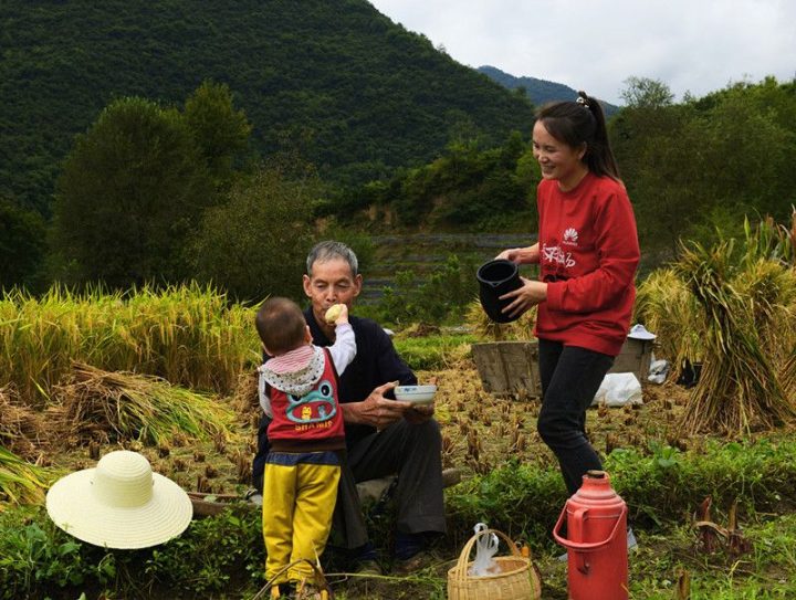 a2d70490be62315b998dc71281a6a8ab a2d70490be62315b998dc71281a6a8ab