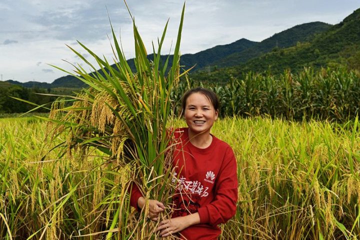 f5752dcb66c206374a2bb91517ec01e0 f5752dcb66c206374a2bb91517ec01e0