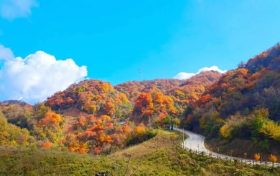 看紅葉 · 過羌年，免費游漢江源縮略圖