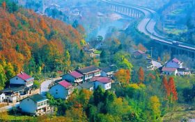 這是山城的邀約，快來略陽邂逅最燦爛的紅葉縮略圖