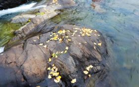 未來三天陜西降水、吹風持續(xù) 清晨易出現(xiàn)大霧縮略圖