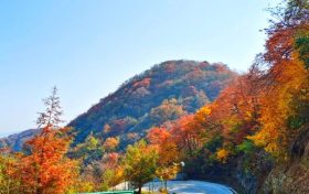 邂逅漢江源秋景，溫柔又詩意！縮略圖