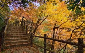 邂逅漢中這里，綿延山脈極致色彩等你來欣賞縮略圖