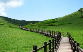 來留壩，我“氧”你！ 紫柏山負(fù)氧離子含量超國際標(biāo)準(zhǔn)13倍縮略圖