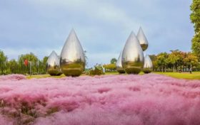 美醉了！云游賞秋色，帶您身臨其境感受江岸秋景！縮略圖