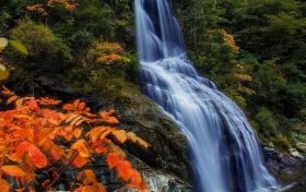 追逐秋天的腳步，佛坪這些賞秋佳地逐個(gè)打卡！縮略圖