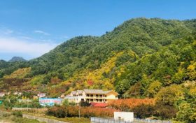 流金溢彩，秋色秘境，佛坪漫山紅葉已上線~縮略圖