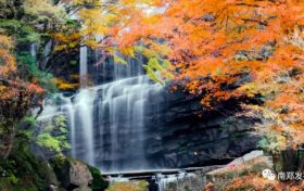 流金溢彩，秋色秘境，在云端賞最美秋色，漢中黎坪紅葉季來襲！縮略圖