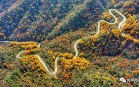 當(dāng)晚秋邂逅初冬，來佛坪給你一個相逢的理由！縮略圖