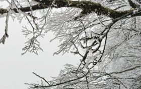 云賞龍頭山入冬初雪！霧凇奇觀太美啦！縮略圖