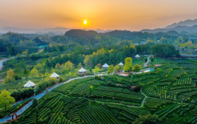 喜報！漢中市3縣獲第六批國家生態(tài)文明建設示范區(qū)和“兩山”基地命名！縮略圖