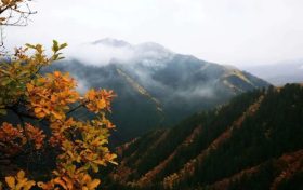 正當(dāng)時，邂逅青木川的初冬縮略圖