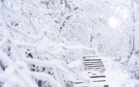 兩次弱雨雪！漢中“春節(jié)”最低氣溫在這天→縮略圖