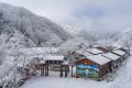 降溫要來了！1月11日—15日陜西多雨雪天氣 陜北降溫8-10 ℃縮略圖