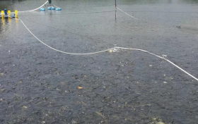 點(diǎn)贊！漢臺(tái)區(qū)成功創(chuàng)建國(guó)家級(jí)水產(chǎn)健康養(yǎng)殖和生態(tài)養(yǎng)殖示范區(qū)縮略圖