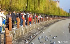 來漢臺 赴一場春天的約會！縮略圖