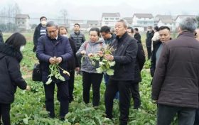 漢中這項(xiàng)技術(shù)全國(guó)領(lǐng)先！產(chǎn)品在全國(guó)14個(gè)省市推廣→縮略圖