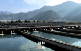 點(diǎn)贊！佛坪這一項(xiàng)目入國(guó)家農(nóng)業(yè)標(biāo)準(zhǔn)化示范區(qū)項(xiàng)目→縮略圖