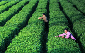 喜報！漢中新增3A級旅游景區(qū) →縮略圖