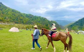 留壩避暑游持續(xù)升溫，帶火了“夏日經(jīng)濟(jì)”縮略圖