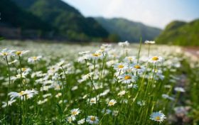 氣血不足怎么辦?這4個方法要好好利用縮略圖