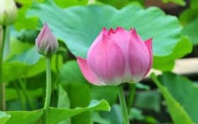 相約黎壩，邀您赴一場詩意田園的心動之旅！縮略圖