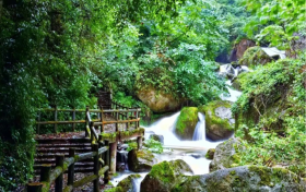 你的睡眠還好嗎?4個常見的睡眠問題縮略圖