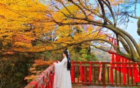 登山賞秋，漢江源馬上迎來第一波浪漫秋色!縮略圖