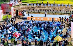慶豐收，促和美 | 略陽縣第六屆中國農(nóng)民豐收節(jié)開幕縮略圖