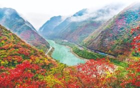 不負(fù)美景不負(fù)秋！不管你去不去，這份秋日攻“略”都值得收藏！縮略圖