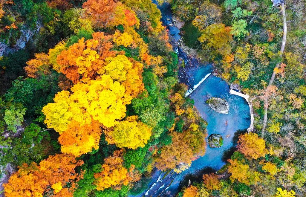 重磅！漢中這家4A景區(qū)全民免門票！