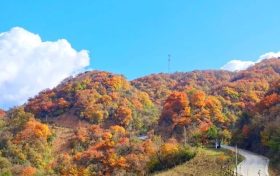 又是一年彩林季，漢江源彩林搶先看~縮略圖