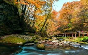 重磅！漢中這家4A景區(qū)全民免門票！縮略圖