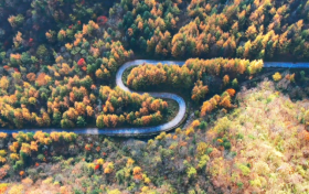 秋意漸濃，放慢腳步 ，佛坪秋景“大片”已上映！縮略圖